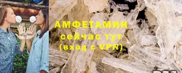 ECSTASY Алзамай
