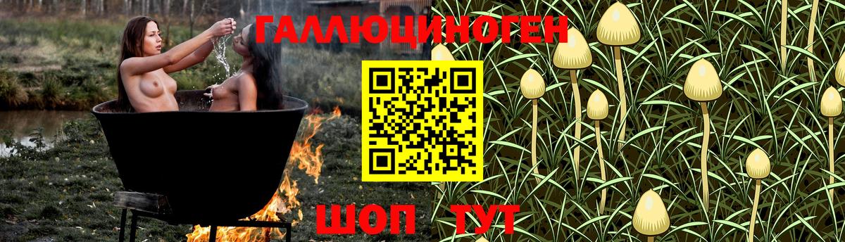 Псилоцибиновые грибы мицелий Кинешма