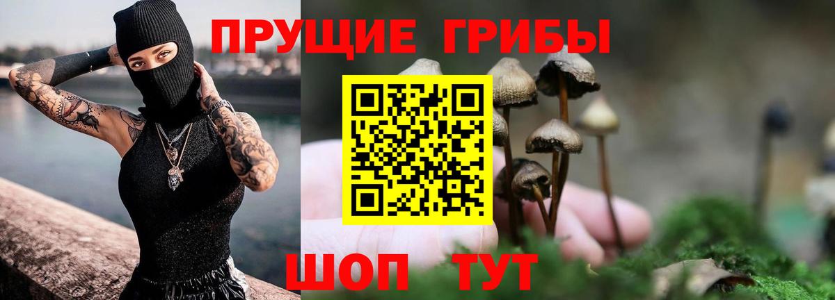 Галлюциногенные грибы Psilocybine cubensis  Вход с VPN  Кинешма  Псилоцибиновые грибы MAGIC MUSHROOMS 